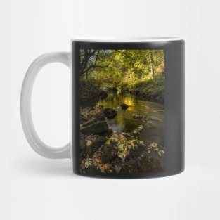 West Beck, Goathland, North Yorkshire Mug